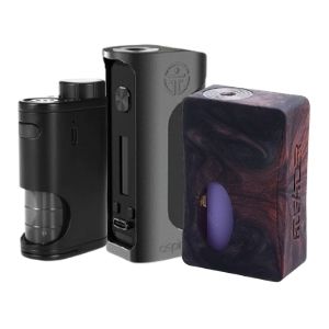 Gecko in the Box, Rotondo - Gecko in the Box Online Shop